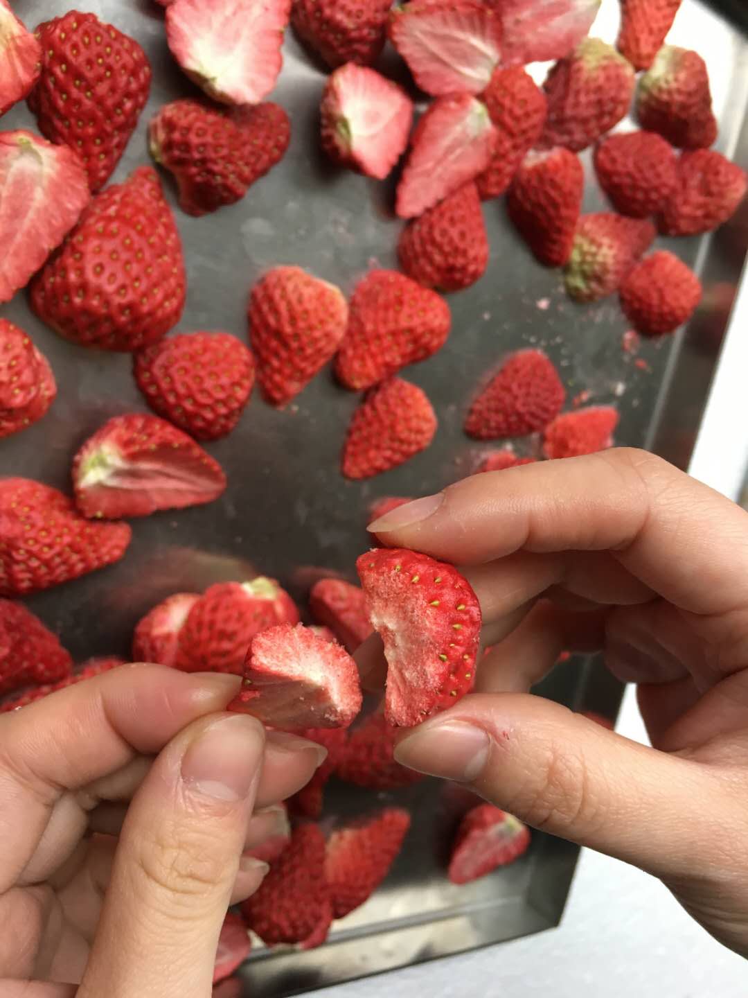 南京草莓真空冷冻干燥机